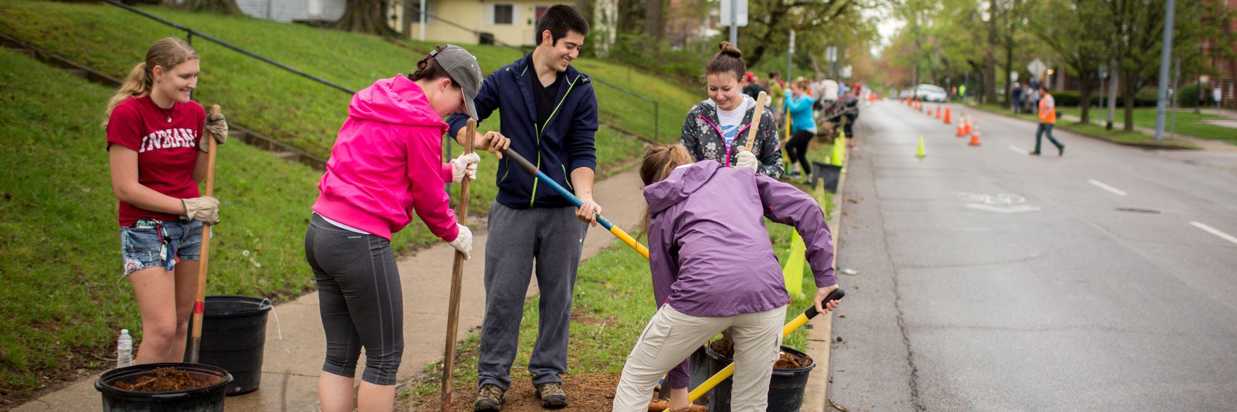 IU students planting trees on Arbor Day along a street.